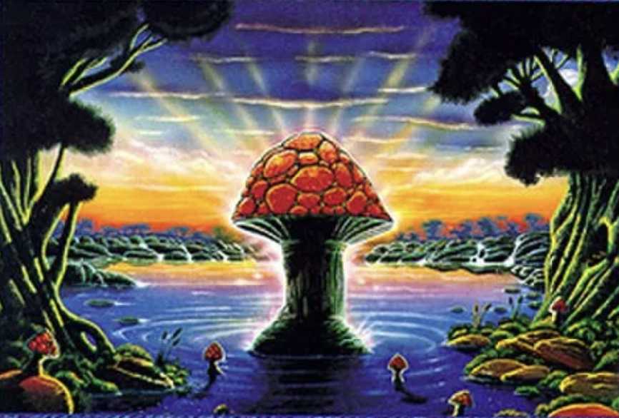 Before and After Photos: Back where it all began.